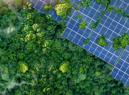 Painéis solares entre árvores