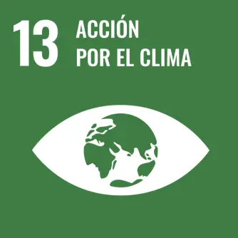 Objetivo 13 ação climática